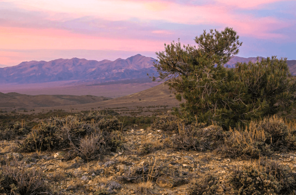 160 Acres Between the Mountains in Lander County, Nevada! BIDDING IS PER ACRE!