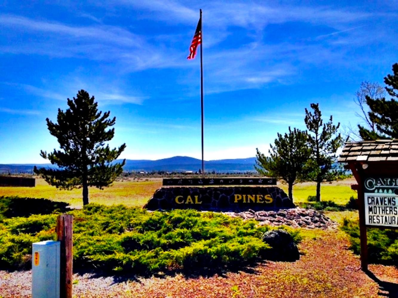 Build Your Sanctuary in the Peaceful Pine Woods of Modoc County, California!