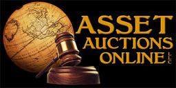 Asset Auctions Online, LLC