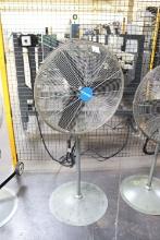 Global 24" pedestal fan