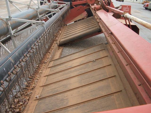 HESSTON 645D 21' SWATHER HEADER