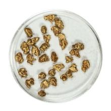 Gold Nuggets 4.82 Grams Total Weight