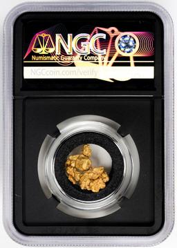 Lot of Colorado Gold Nuggets 3.00 Grams Total Weight NGC Vaultbox Unvaulted