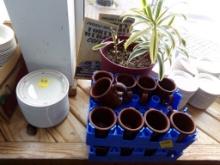 (2) Blue Trays Of  Brown Coffee Mugs And A Potted Plate (Inside)