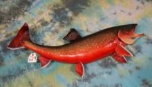 Gorgeous Arctic Char 36" Real Skin Taxidermy Fish Mount