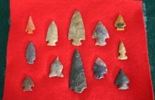 12 Very Nice Authentic Colorado Arrowheads