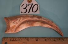 Spinosaurus egypticus Dinosaur Fossil Hand Claw