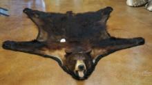 Black Bear Rug Taxidermy Mount