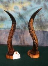 Pair of African Nyala Carved Horns
