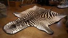 East African Grants Zebra Rug Taxidermy Mount