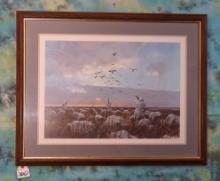 Framed Print of Hunting Snow Geese