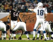 Brian Urlacher Chicago Bears Autographed 8x10 Photo GA coa