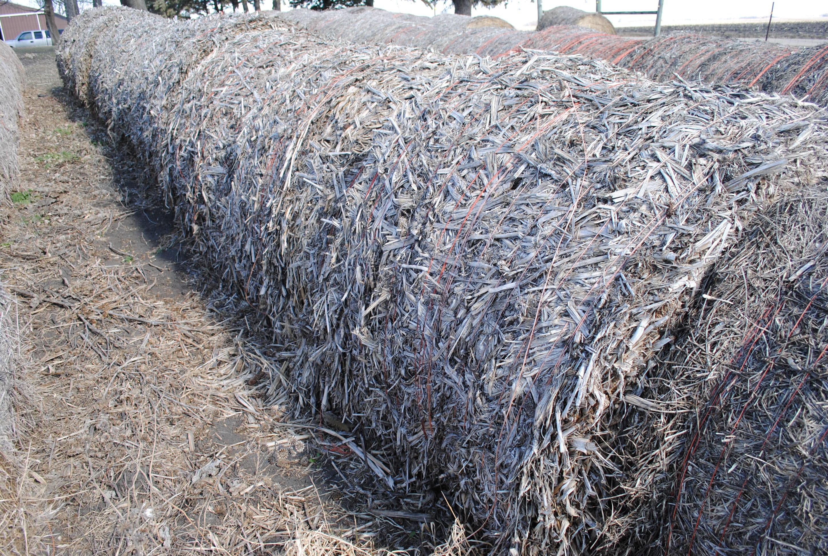 10 Round Bales of Twined Corn Stalks and 1 Round Bale of Twined Hay, stored outside (sell 11 times t