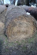 10 Round Bales of Twined Corn Stalks and 1 Round Bale of Twined Hay, stored outside (sell 11 times t