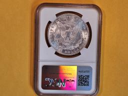 NGC 1904-O Morgan Dollar in Mint State 64