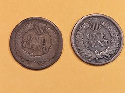 1864 and 1865 Indian Cents