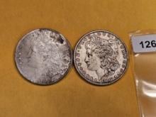 Two Morgan Silver Dollars