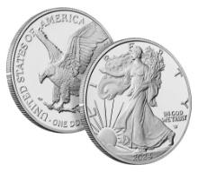 2024 American Silver Eagle .999 Fine Silver Dollar Coin