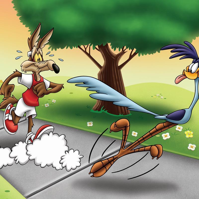 Wile E and Road Runner Race by Looney Tunes