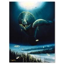 Save the Manatees by Wyland