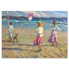 Kite Festival by Hatfield, Don