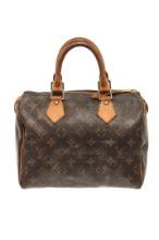 Louis Vuitton Brown Monogram Speedy 25 Satchel Bag