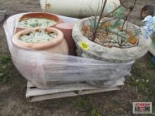 Assorted Flower Pots