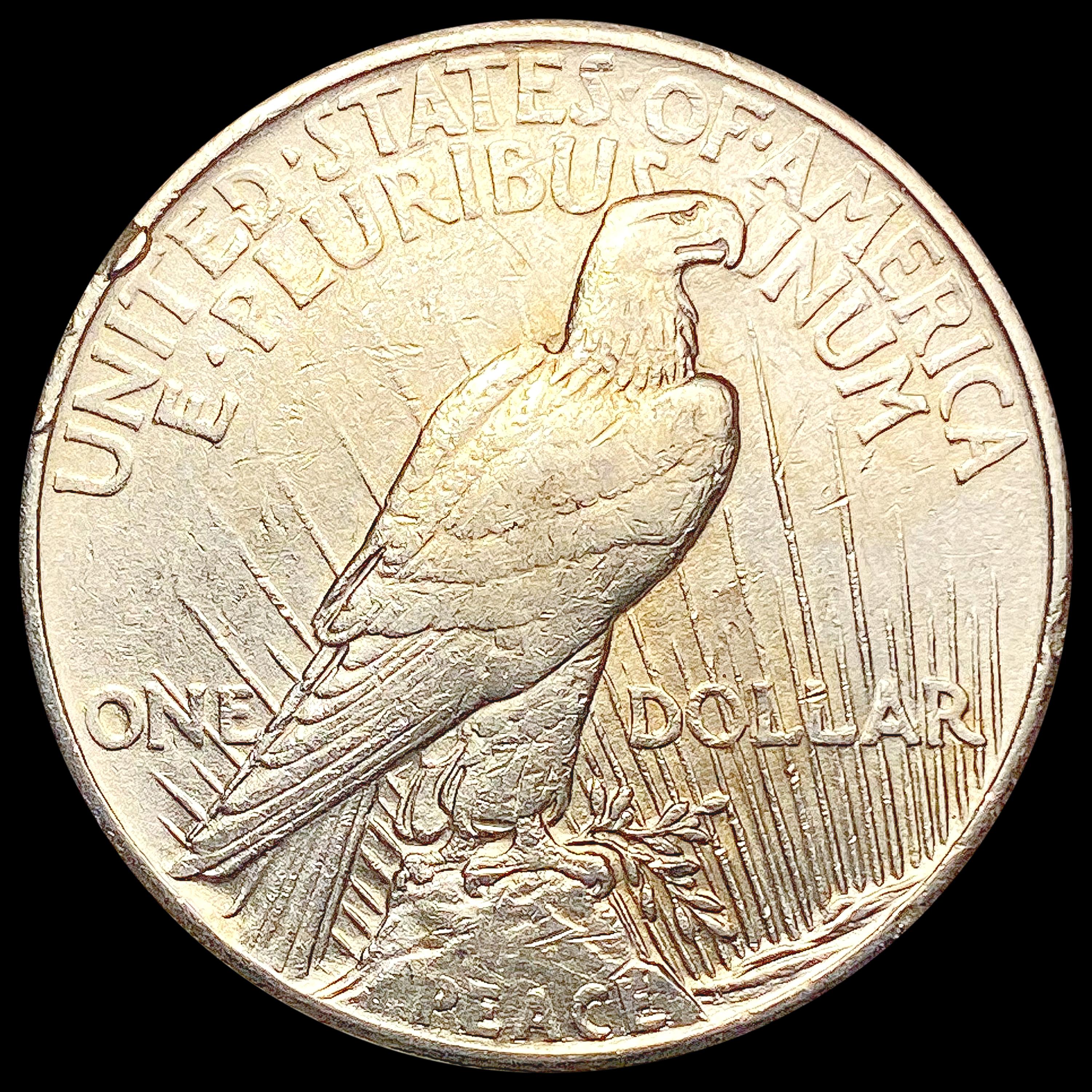 1921 Silver Peace Dollar CLOSELY UNCIRCULATED