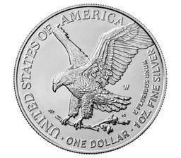 American Eagle 2023-W BURNISHED 1oz Sil UNC