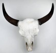 Yellowstone National Park Taxidermy Buffalo Skull