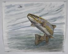 Trout Print M.C. Simon