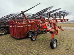 Pequea Mid-Cap 12 Wheel Hydraulic Fold Hay Rake