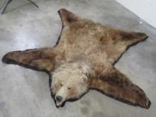 Vintage Felted Brown Bear Rug w/Mounted Head and Big Claws TAXIDERMY