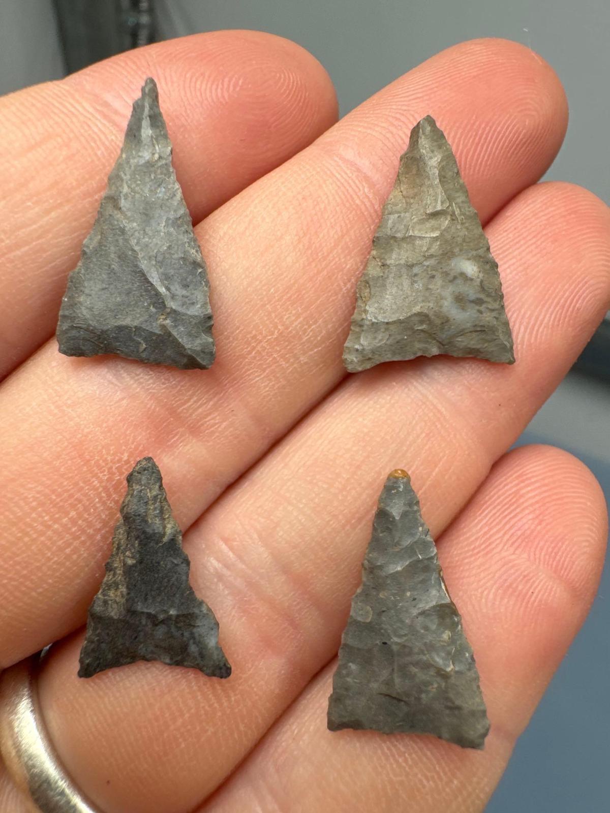 Lot of 4 FINE Iroquoian Triangles, Found on the West Shore of Chautauqua Lake, New York, Longest 7/8