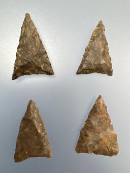 Lot of 4 FINE Iroquoian Triangles, Found on the West Shore of Chautauqua Lake, New York, Longest 1