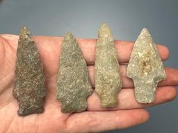 Lot of 4 Medium-Sized Quartzite Arrowheads, Longest is 2 1/4", Found in Northampton Co., PA Ex: Burl