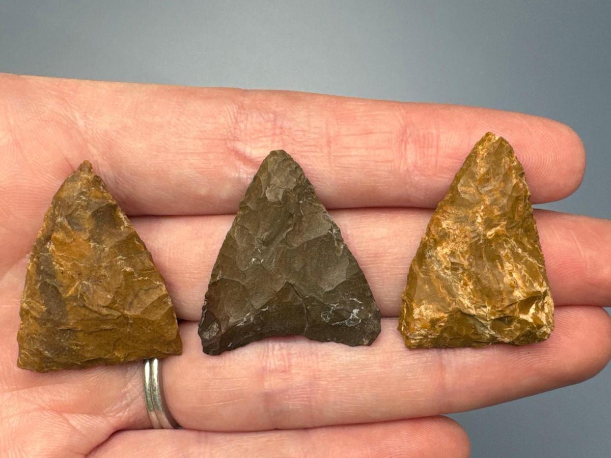 Lot of 3 Triangle Points, Jasper, Longest is 1 1/4", Found in Northampton Co., PA, Ex: Burley Museum