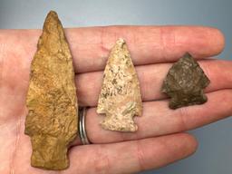 Impressive Lot of Fine Points, Arrowheads, Found by Gerald Crizer in Beaver County, Pennsylvania, Lo