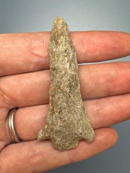 WOW 2 1/4" Interesting Quartzite Basal Notch Point, Long and Slender, Found in PA/NJ/NY Tristate Are