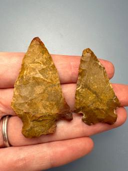Pair of Fine Jasper Bifurcates, Largest is 2" and Heat Treated, Found in the Oley Valley, Berks Co.,