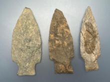 x2 Hoovers Island Points and x1 Rhyolite Piedmont, Longest is 3 1/8", Found in Columbia Area of Lanc