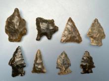 8 Ridge and Valley Chert Points, Found in North Carolina, Longest is 1 1/4"