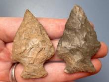 Onondaga Chert Perkiomen+Susquehanna Broad, Longest is 2", Found in New York, Ex: Dave Summers Colle