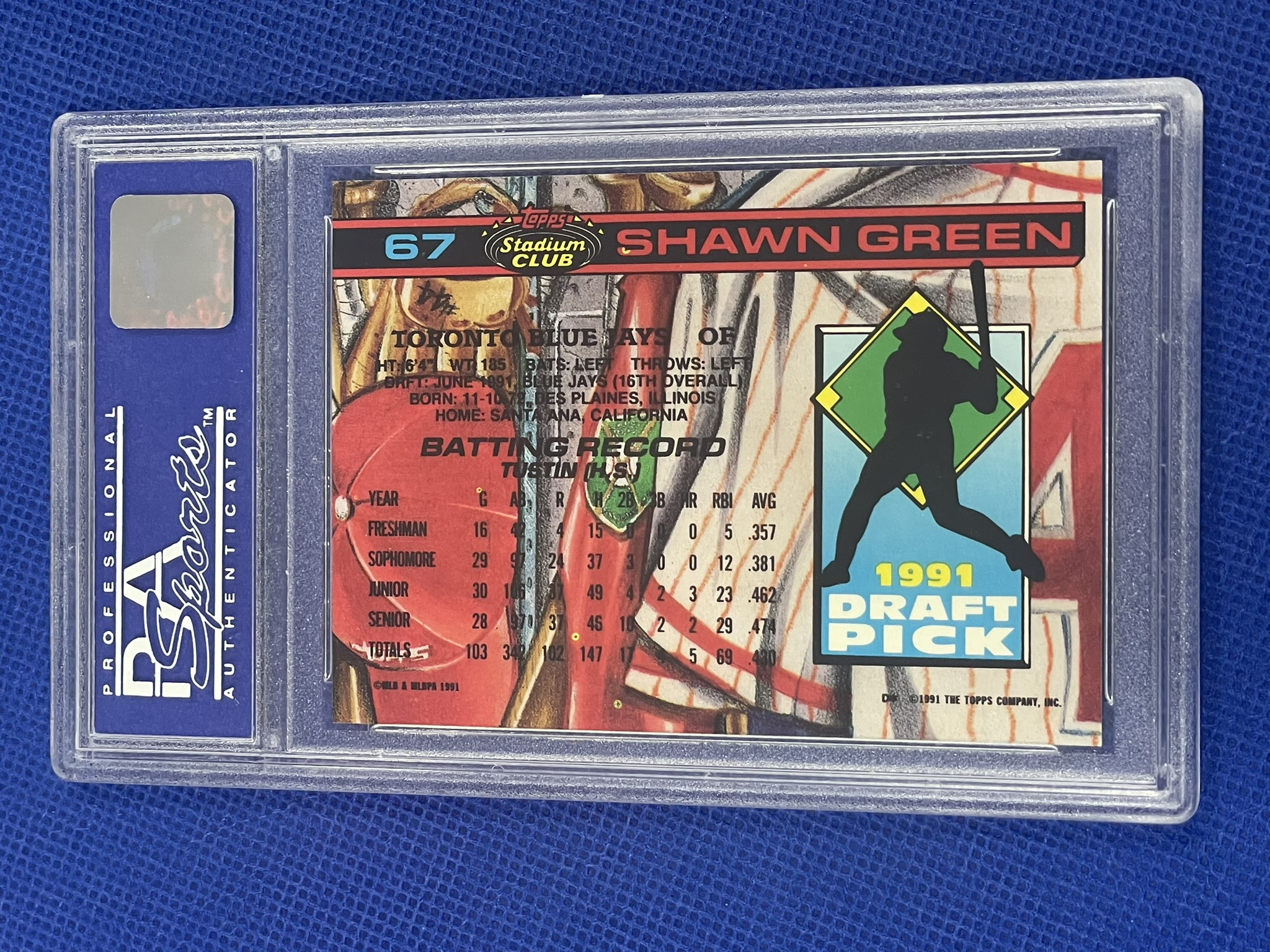 Shawn  Green rookie PSA 8