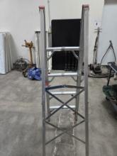 Aluminum Ladder