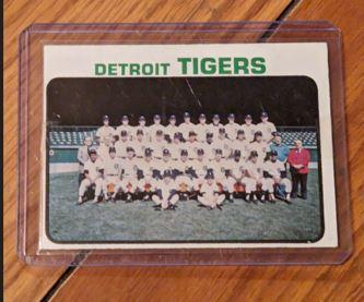 1973 TOPPS DETROIT TIGERS #191