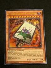 Yugioh - Flower Cardian Paulownia (Ultra Rare) (1st Edition)