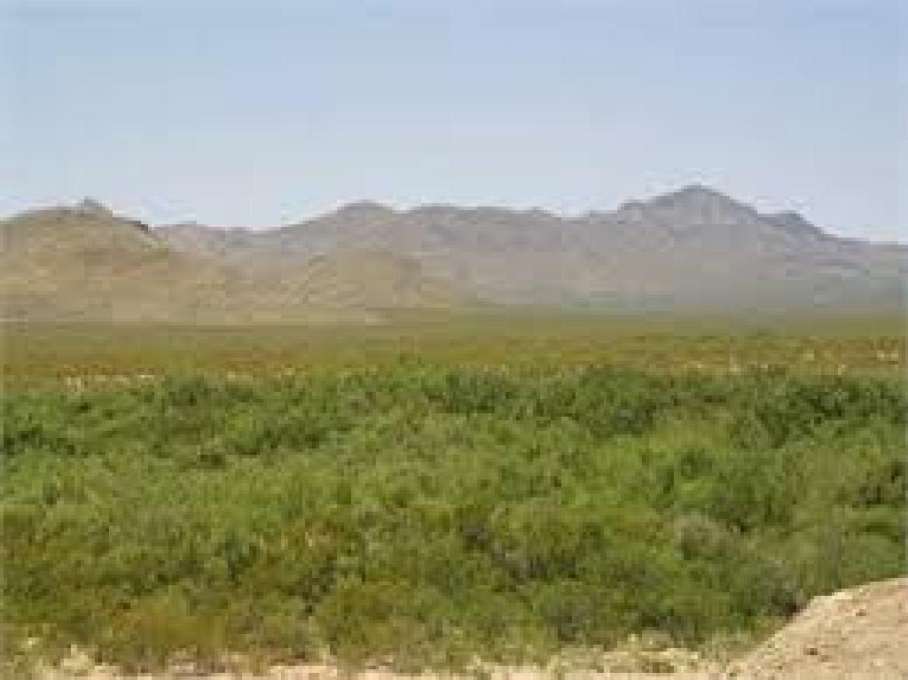 Texas Presidio County 10 Acres! Awesome Recreation! Low Monthly Payments!
