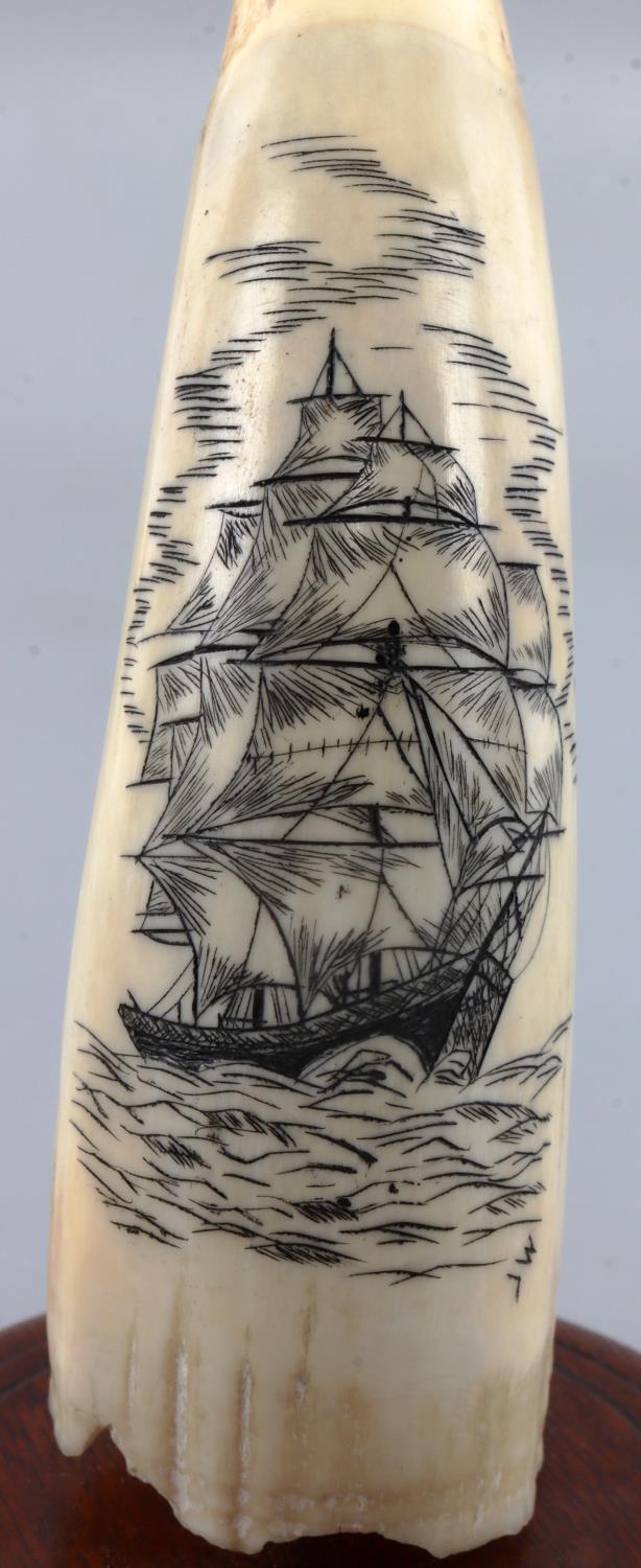 2 WHALE TOOTH SCRIMSHAW SHIP ENGRAVED ORNAMENTS