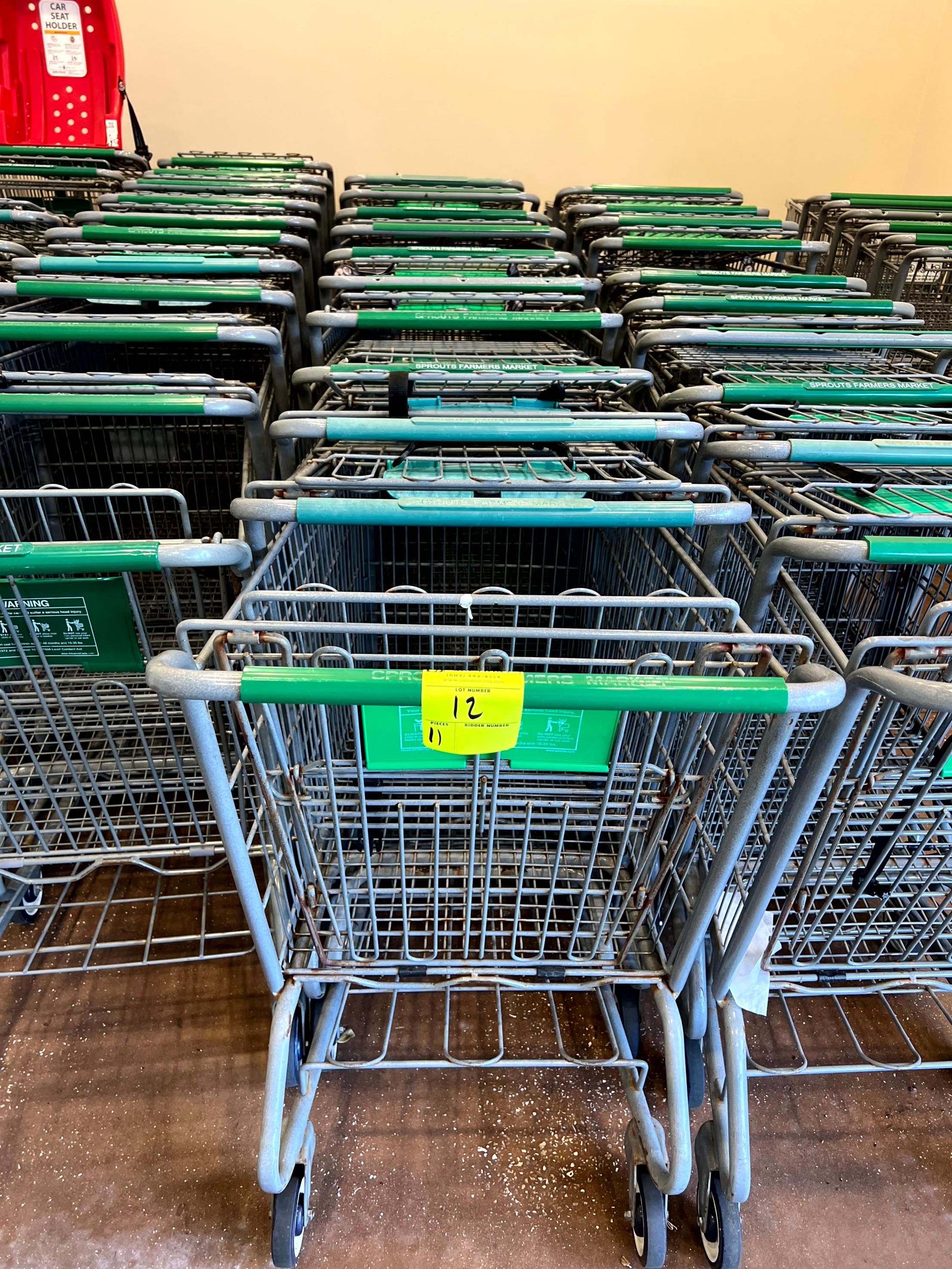 Standard Size Shopping Carts